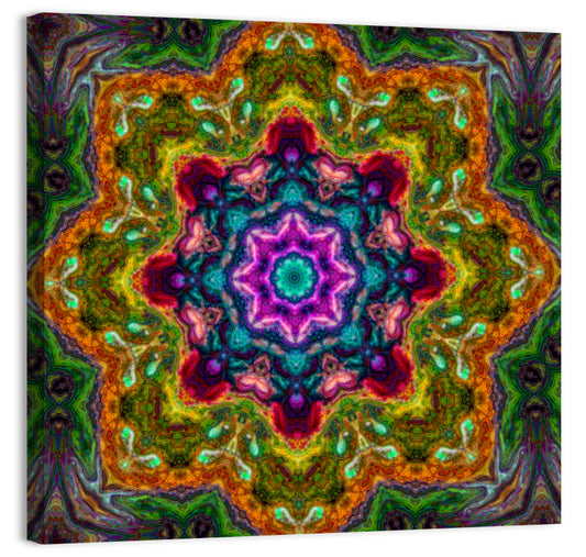 Coloured Mandala Ornament Wall Art