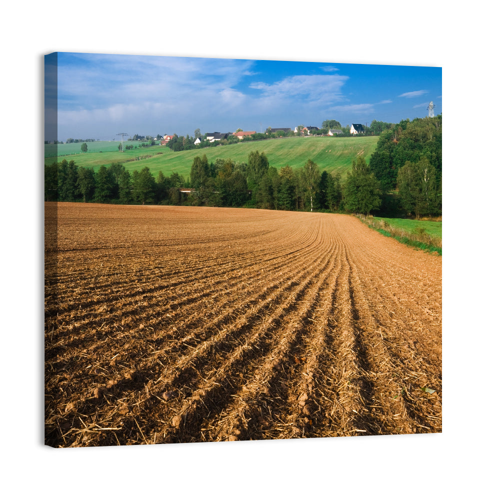 Kansas Wheat Cultivation Farm Wall Art