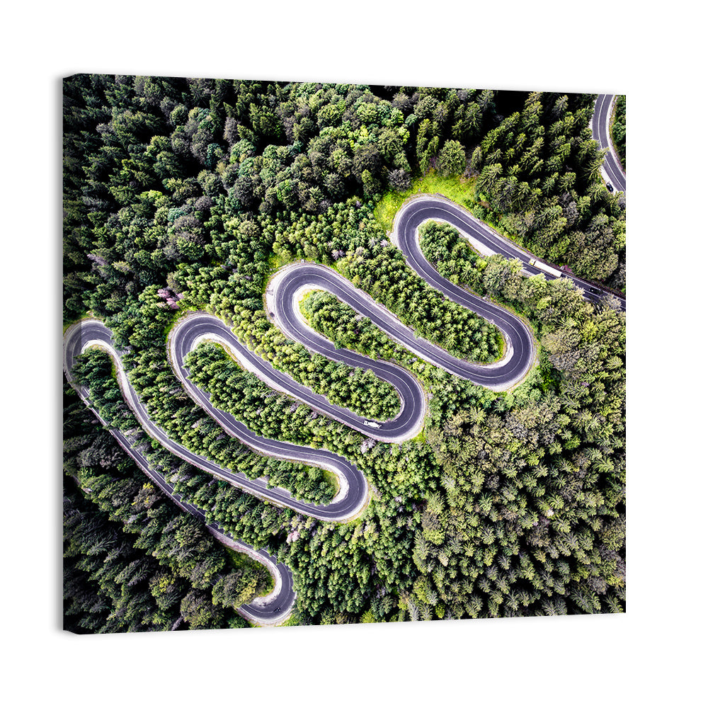 Serpentine Mountain Road Wall Art