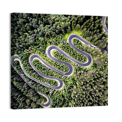 Serpentine Mountain Road Wall Art
