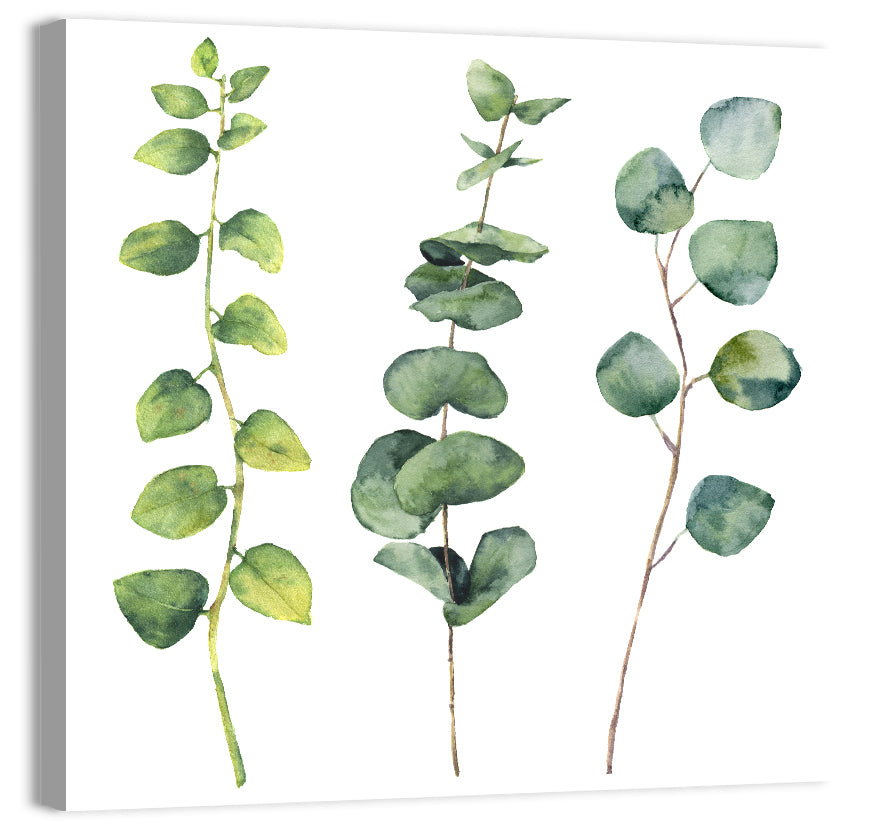 Watercolor Eucalyptus Stems Wall Art
