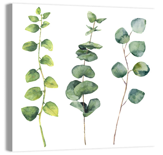 Eucalyptus Leaves Wall Art