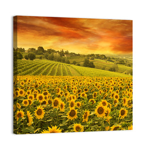 Sunflowers Fieldscape Wall Art