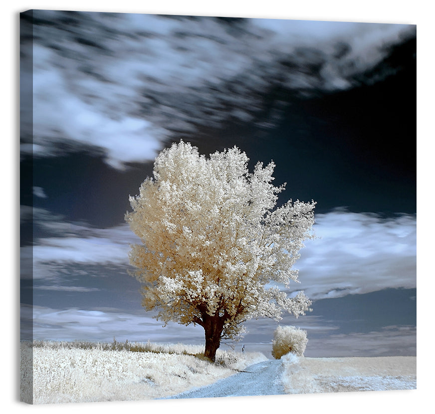 Infrared Winter Willow Tree Wall Art
