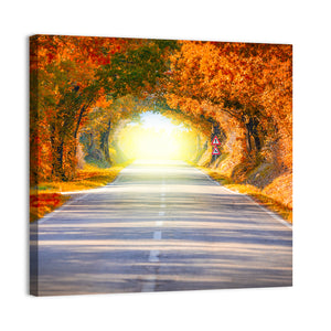 Autumn Trees Tunnel Wall Art