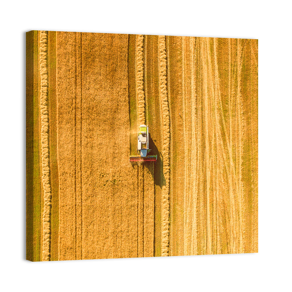 Aerial Wheat Harvest Wall Art