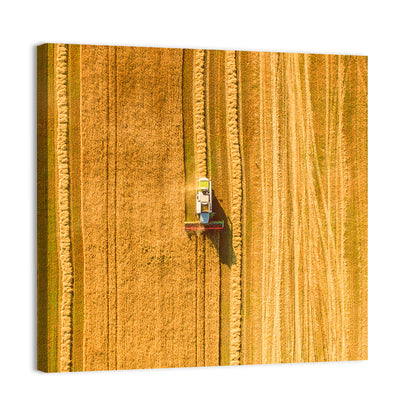 Aerial Wheat Harvest Wall Art