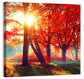 Autumn Park Sunrise Wall Art