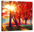 Autumn Park Sunrise Wall Art