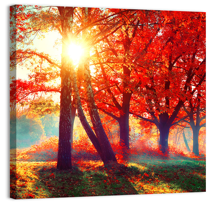 Autumn Park Sunrise Wall Art