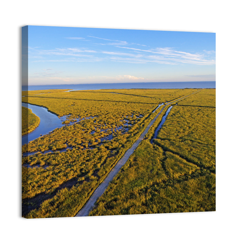 Delaware Bay Marshland Aerial Wall Art