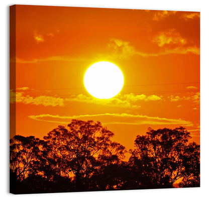 Burning Sun Over Tree Silhouettes Wall Art