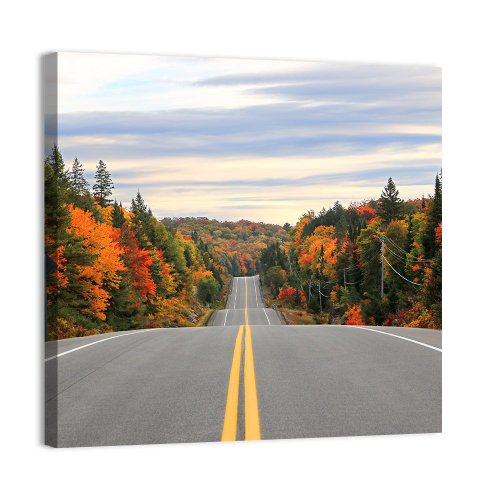 Algonquin Park Road Wall Art