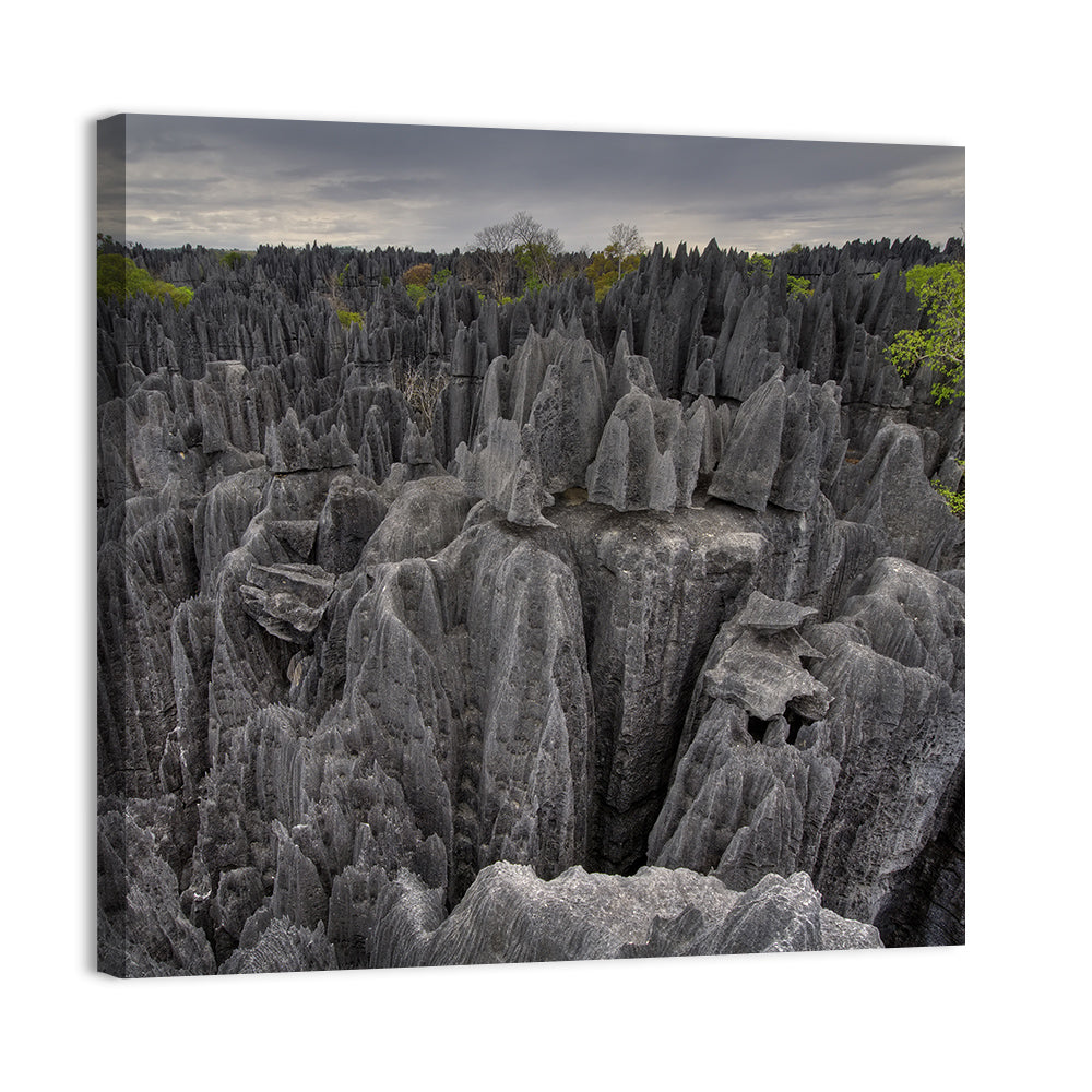 Tsingy De Bemaraha Pinnacles Wall Art