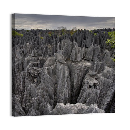 Tsingy De Bemaraha Pinnacles Wall Art