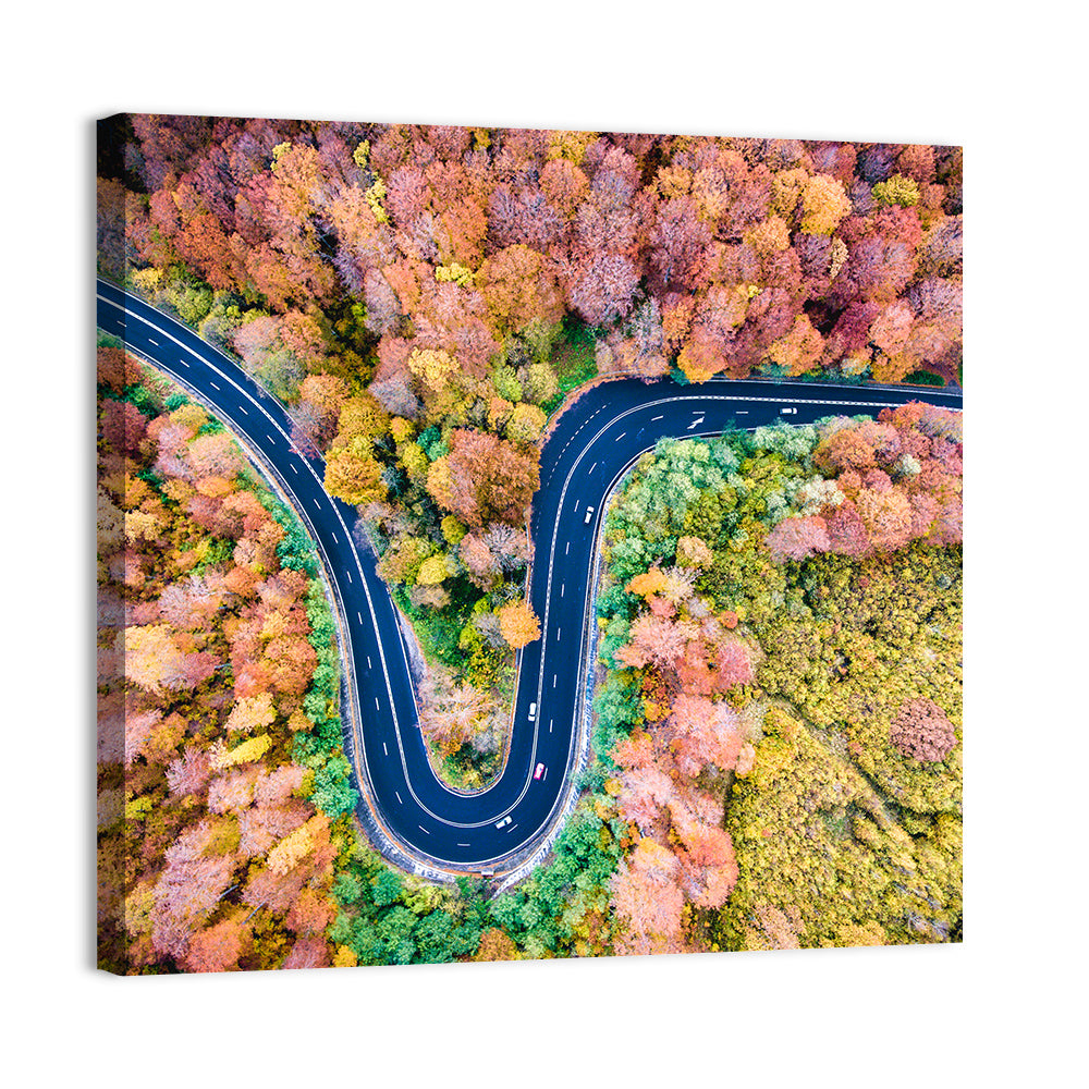 Winding Forest Road Wall Art