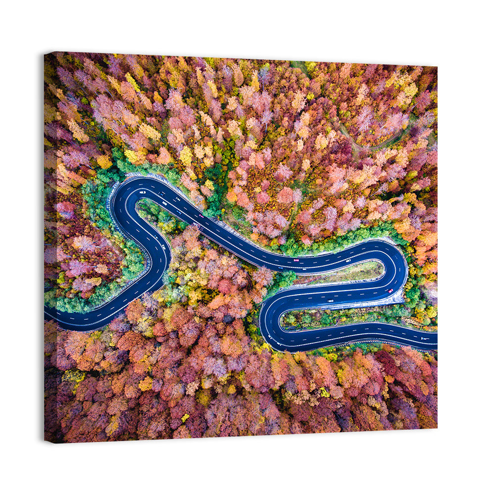 Aerial Winding Road Wall Art