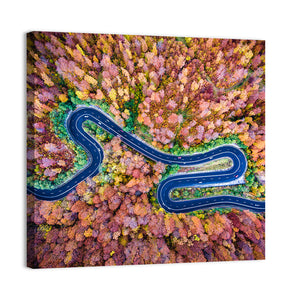 Curved Road Wall Art