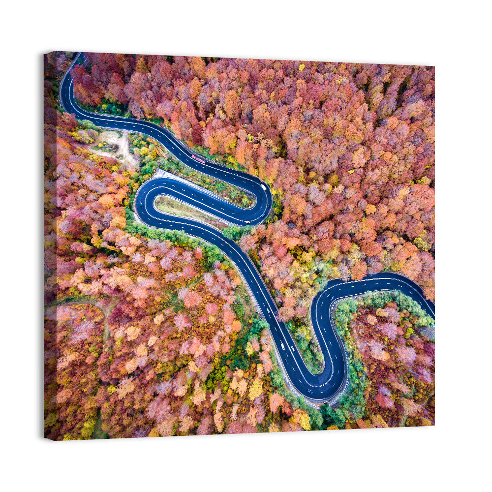 Winding Autumn Road Wall Art