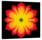 Red Yellow Mandala Flower Pattern Wall Art