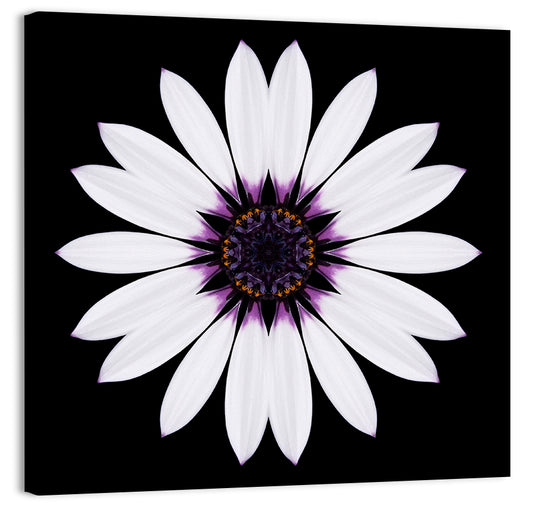 White Mandala Flower Wall Art