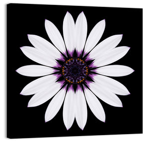 White Mandala Flower Wall Art