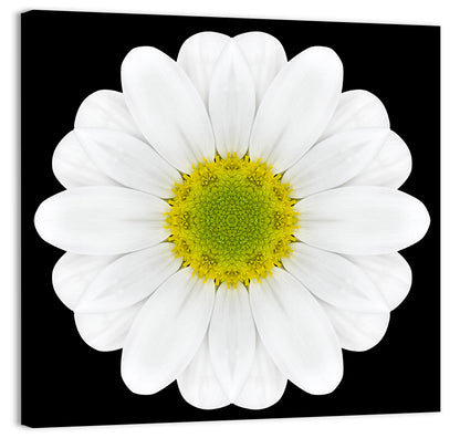 High Contrast Daisy Mandala Pattern Wall Art