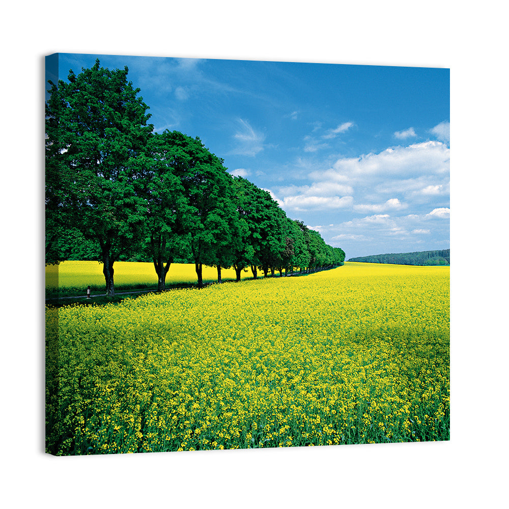 Spring Field of Yellow Flowers Wall Art