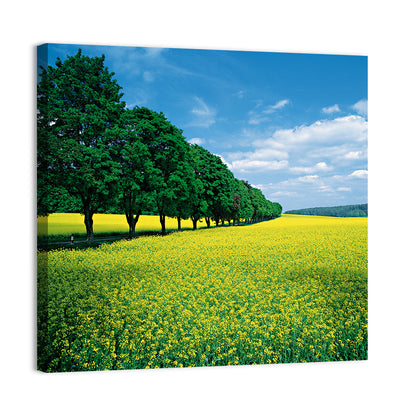 Spring Field of Yellow Flowers Wall Art