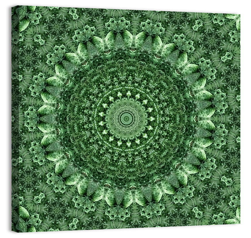 Green Botanical Kaleidoscope Mandala Wall Art, canvas print, square