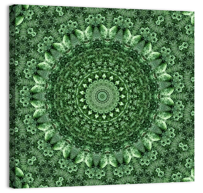 Green Botanical Kaleidoscope Mandala Wall Art as a canvas print