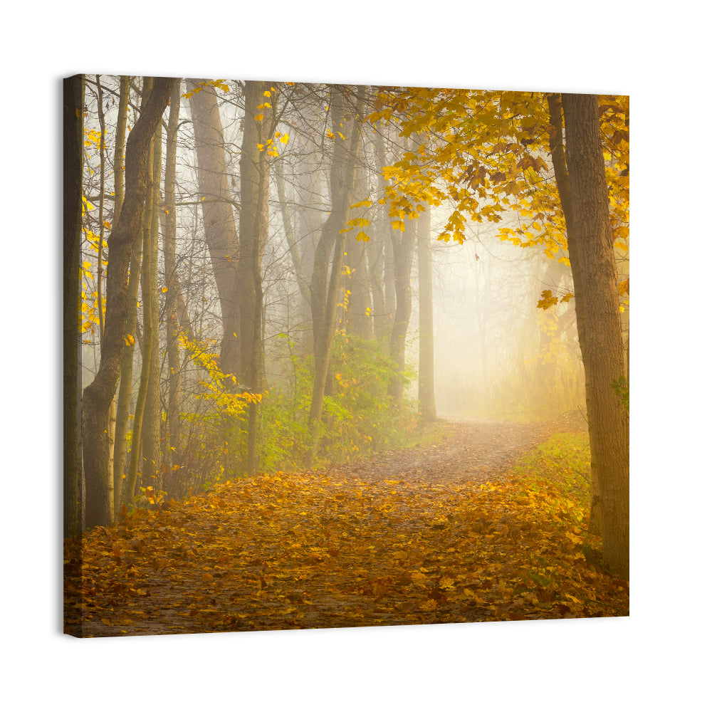 Cuyahoga Valley Autumn Path Wall Art