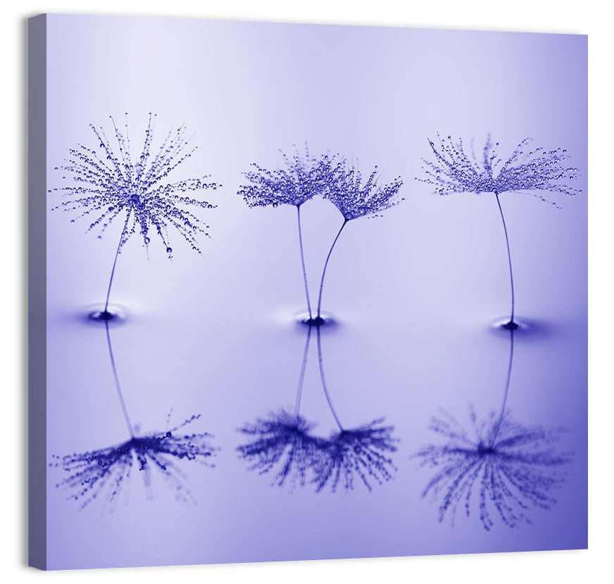 Blue Dandelion Seeds with Reflections Wall Art