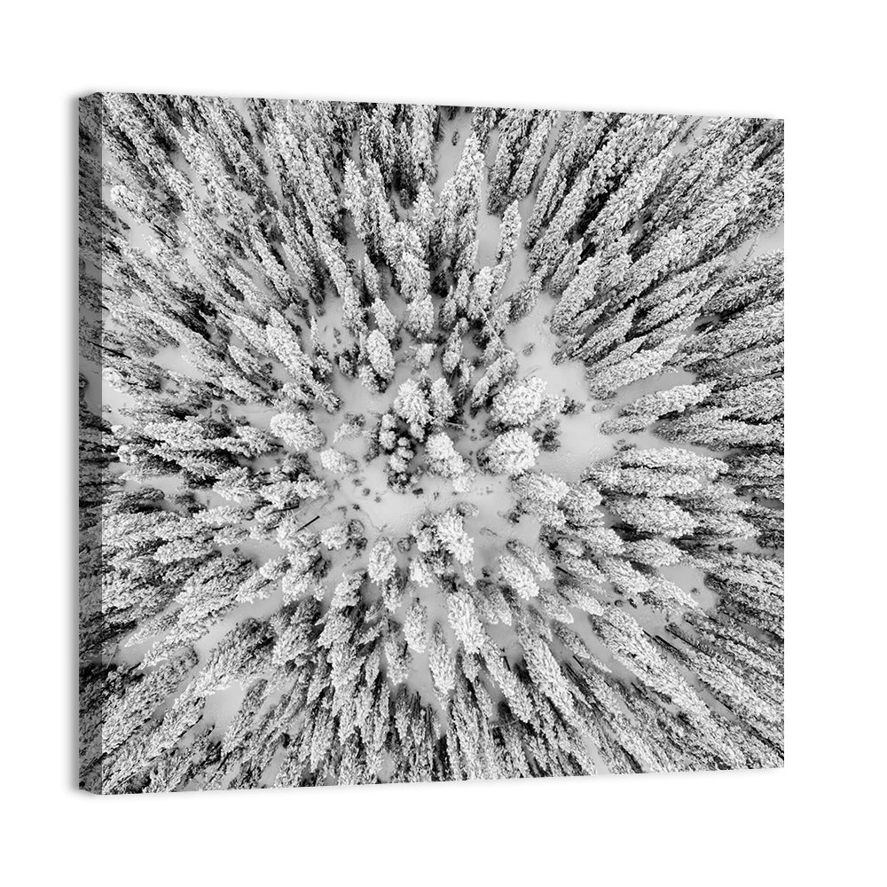 Snowy Aerial Forest Wall Art