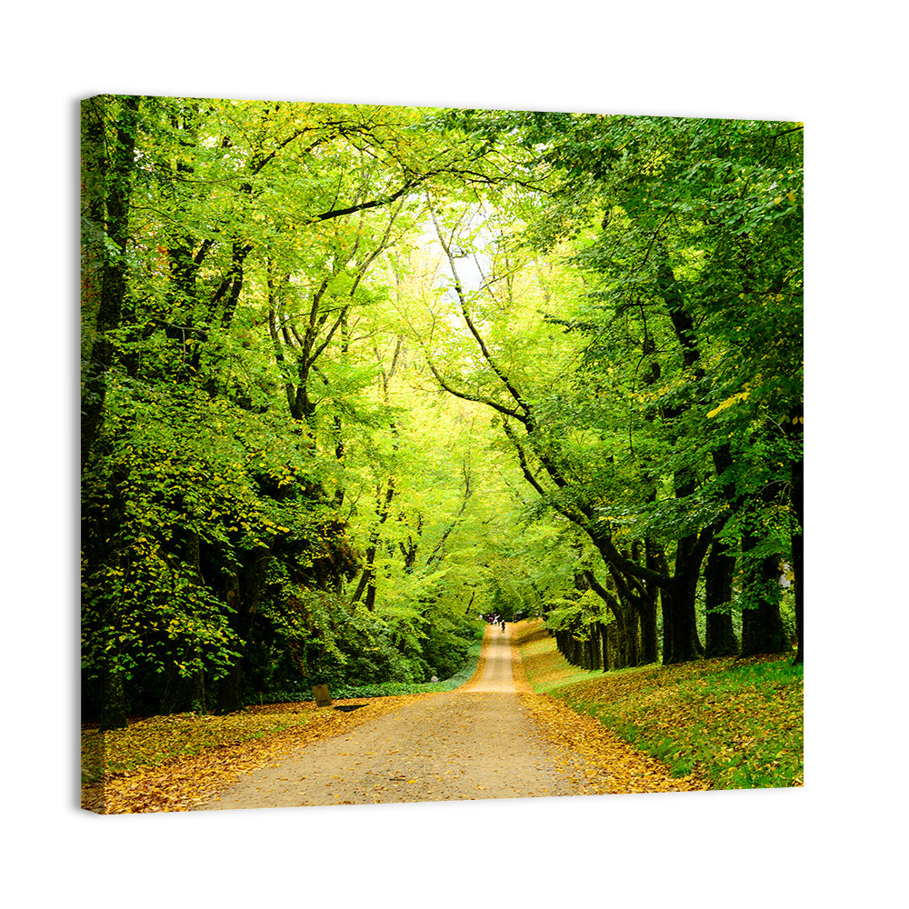 Sunlit Forest Pathway Wall Art