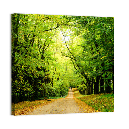 Forest Illuminated Pathway Wall Art