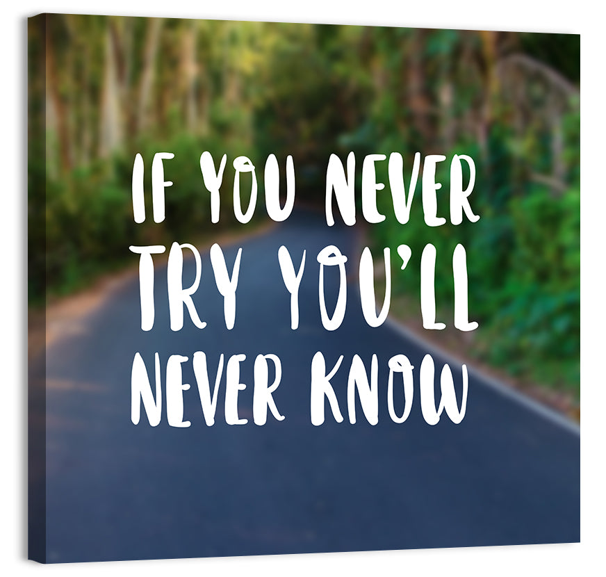 If You Never Try You’ll Never Know Quote Wall Art