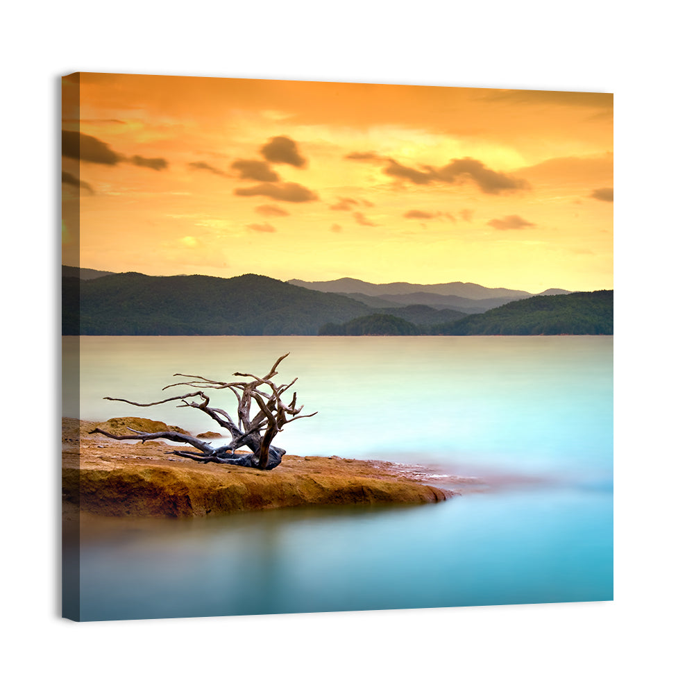 Gnarled Driftwood at Turquoise Lake Wall Art