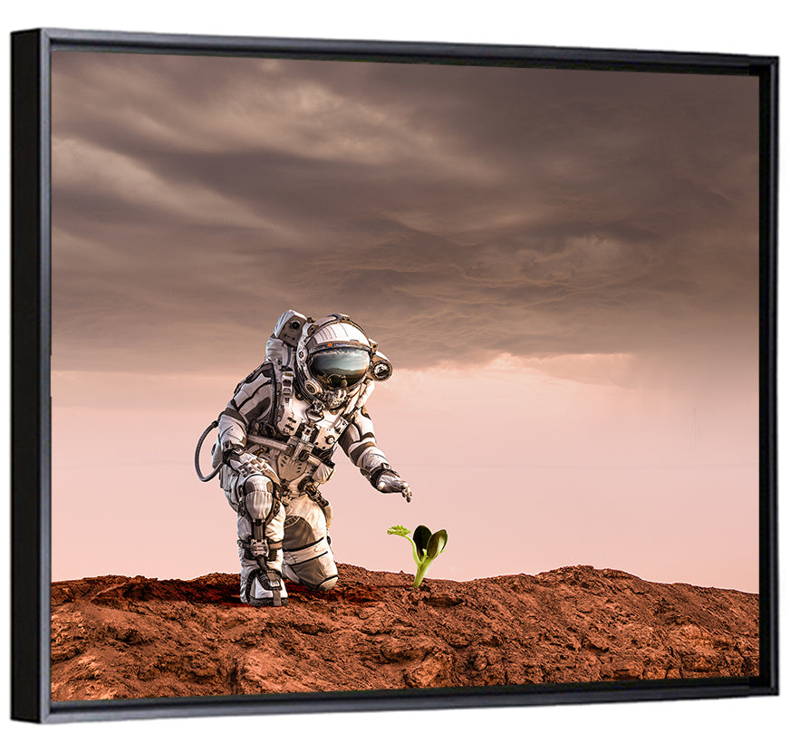 Martian Seedling Concept Wall Art