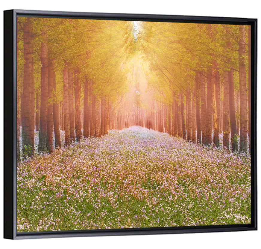 Golden Morning Forest Path Wall Art