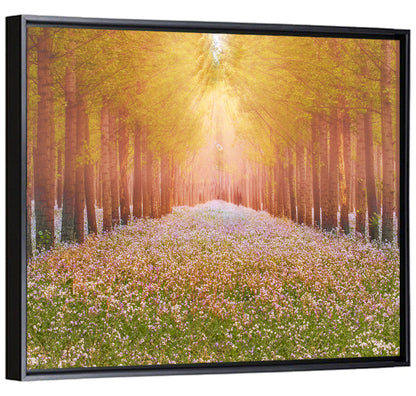 Golden Morning Forest Path Wall Art
