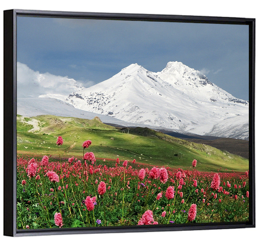Caucasus Spring Wildflower Meadow Wall Art