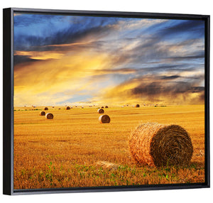 Farm Field Sunset Wall Art