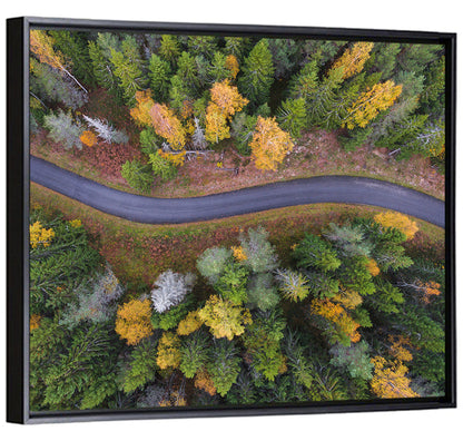 Aerial Autumn Forest Road Wall Art
