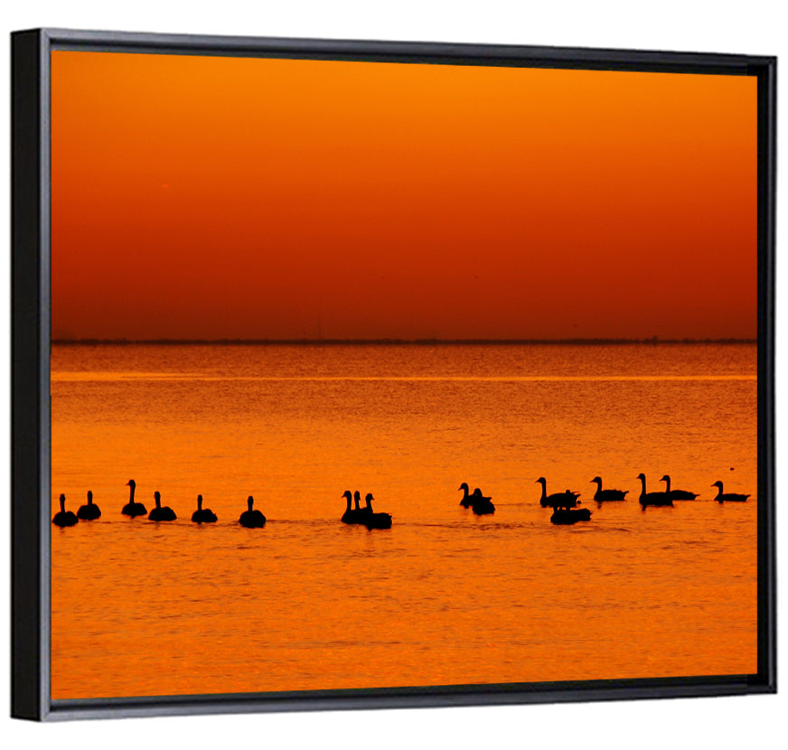 Geese Silhouettes at Orange Sunset Wall Art