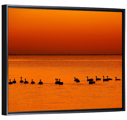 Geese Silhouettes at Orange Sunset Wall Art