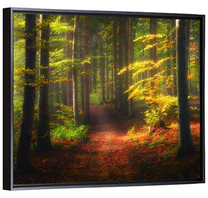 Autumn Forest Pathway Wall Art