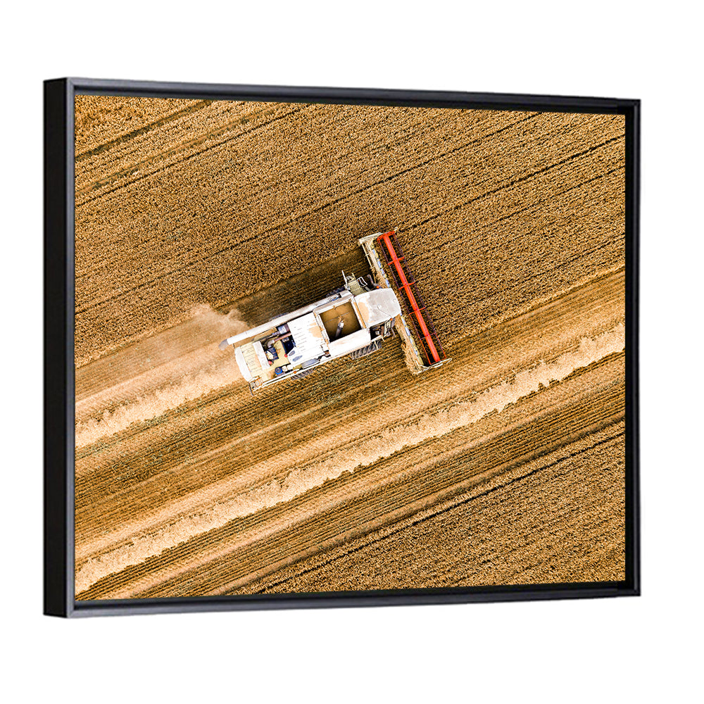 Aerial Combine Over Wheat Field Wall Art