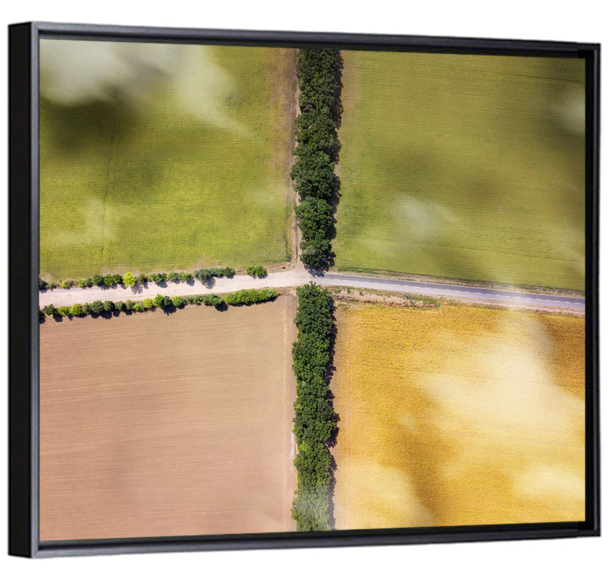 Aerial Farmland Quadrants Wall Art