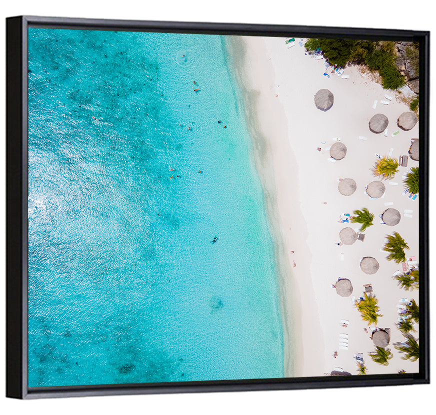 Cas Abou Aerial Shoreline Wall Art